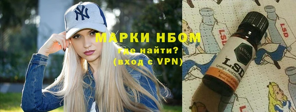 гашик Аркадак