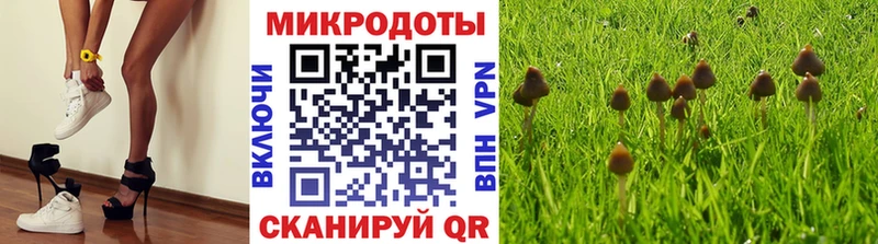 Галлюциногенные грибы Psilocybine cubensis Артёмовск